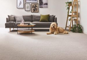 Wellington carpet and flooring specialists